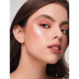 پالت هایلایتر و رژگونه شیگلم SHEGLAM سری GLAM 101 HYBIRD